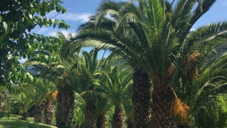Cultura e mercato, il week end a Ponente
