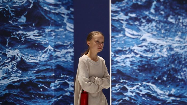 Cop25, Rockström: "Ci restano 10 anni ma solo 7 nazioni hanno dichiarato lo stato di emergenza climatica"