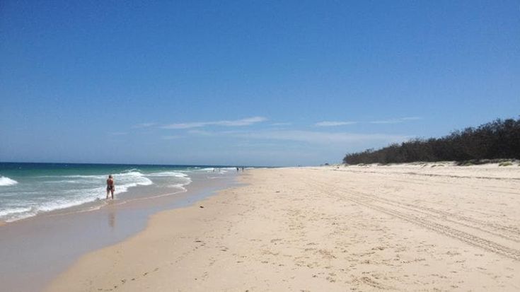 Australia, muore una 17enne attaccata da uno squalo a cento metri dalla riva