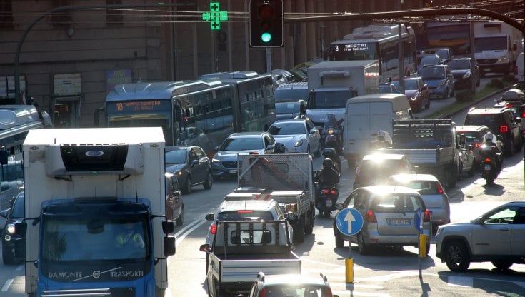 Le uova, i polli e il traffico