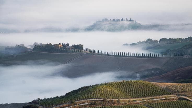 Montalcino, il vino e il richiamo della terra: tre storie per scoprire il Brunello