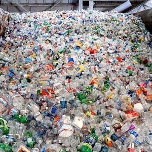 India, rifugio per animali costruito grazie al riciclo