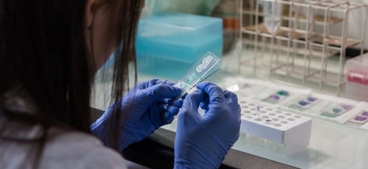 Un nuovo promettente farmaco per il cancro al seno triplo negativo