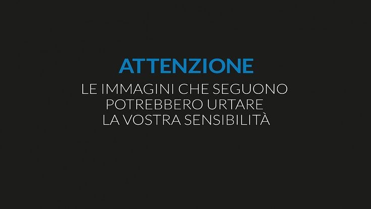 #dachepartestai? La campagna del Wwf contro i crimini di natura