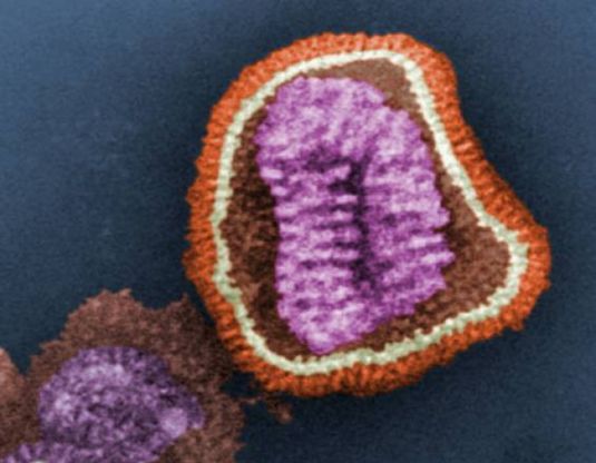 Dormire sconfigge influenza, la chiave in una proteina