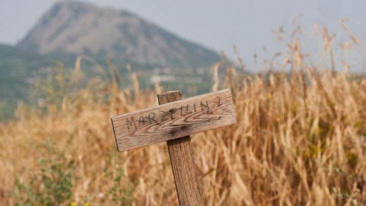 Il grano Marzellina entra a far parte dei Presidi Slow Food