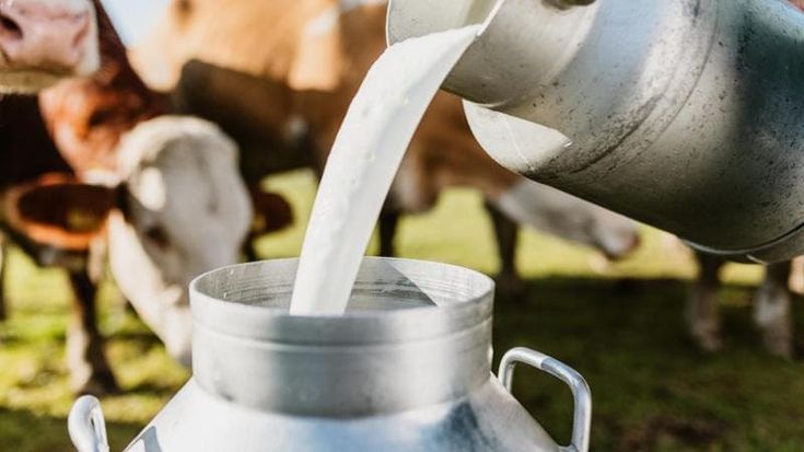 Centrale del Latte d'Italia: in crescita l'Ebitda, utile giù nel primo trimestre 2026