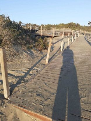 Sabaudia, danneggiata la passerella per l'accesso alla spiaggia dei disabili