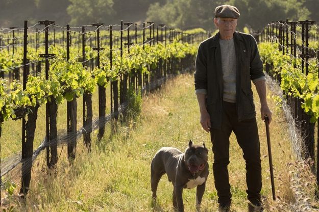 'Star Trek: Picard', torna la saga più amata del piccolo schermo. Protagonista Sir Patrick Stewart