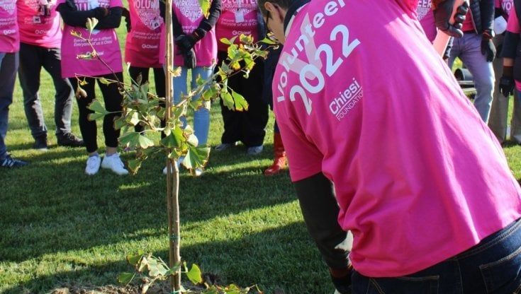 Ambiente, i dipendenti della Chiesi piantano alberi attorno alla sede a Parma