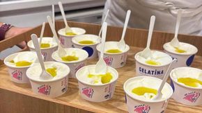 Non solo Dua Lipa: il gelato all’olio conquista le coppette, ma è molto più di una moda