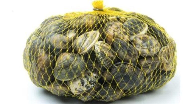 In auto con 25 kg di vongole non tracciate, a Torre del Greco primo sequestro dopo casi di Epatite A
