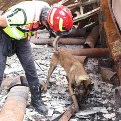 Emporio di via Cantoni, l’incendio che ha causato tre morti è doloso: la conferma dal fiuto del cane Aika