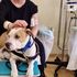 La chemioterapia con la pitbull Aria: e l’ansia e la paura scivolano via