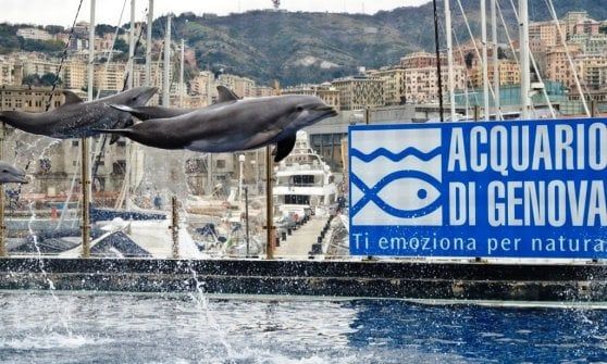 Società, cultura, spettacoli: gli appuntamenti a Genova e in Liguria martedì 22 maggio