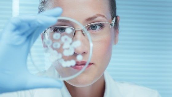 Il mistero della Candida auris, il fungo che "può uccidere in 90 giorni"