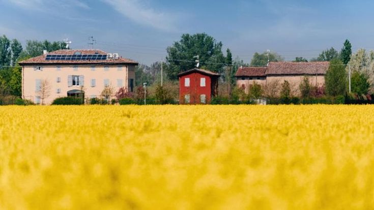A Modena i campi fioriti più belli