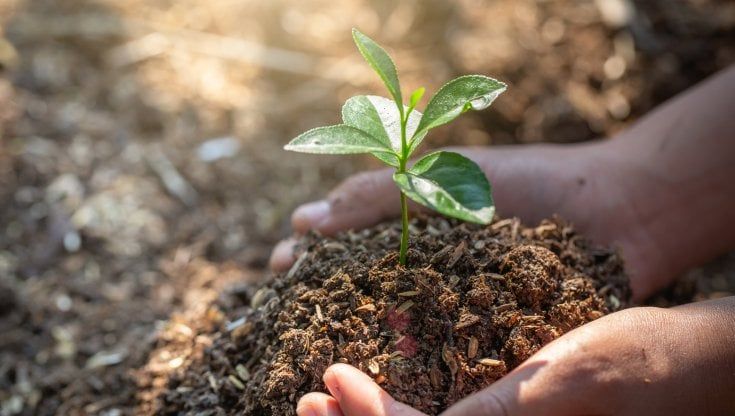 Fonseca (L. Odier): “Biodiversità e decarbonizzazione sono i trend da seguire”
