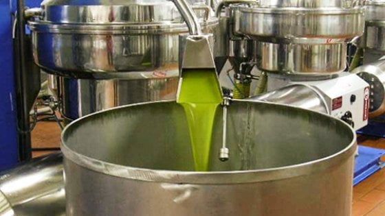 L'isola felice dell'olio: "Così abbiamo sconfitto la mosca olearia"