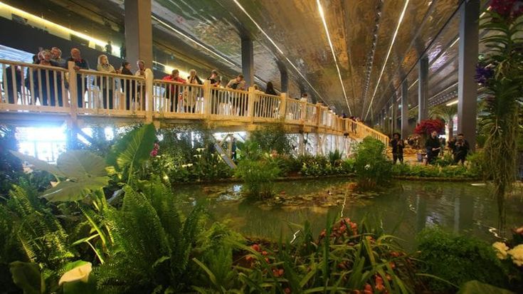 Euroflora, buona la prima: folla ed entusiasmo, ma con qualche nostalgia