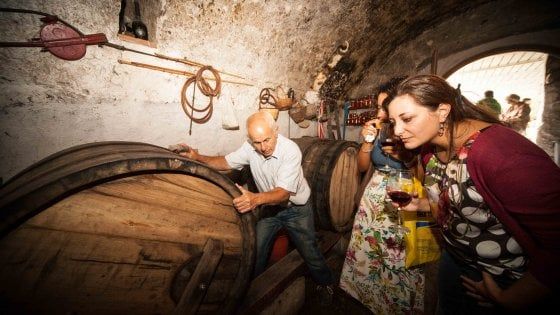 Sentieri e cantine, anche a Natale Ischia rivela la sua anima