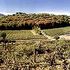 Franciacorta, un nettare da Imperatore
