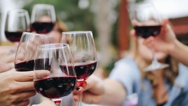 Otto itinerari siciliani per degustare il vino e l’olio