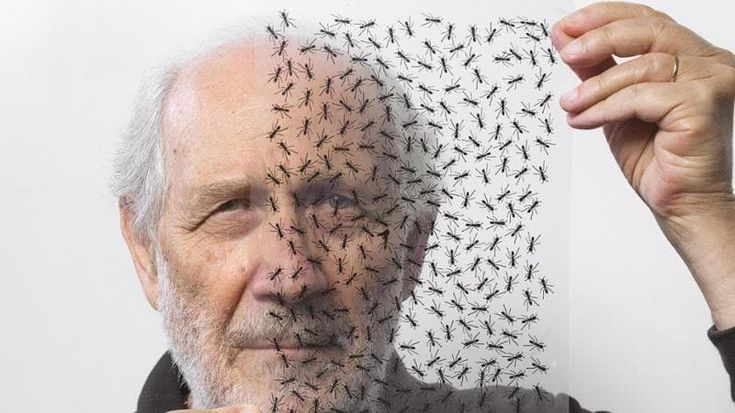All’artista Emilio Isgrò il premio Cultura del Mediterraneo