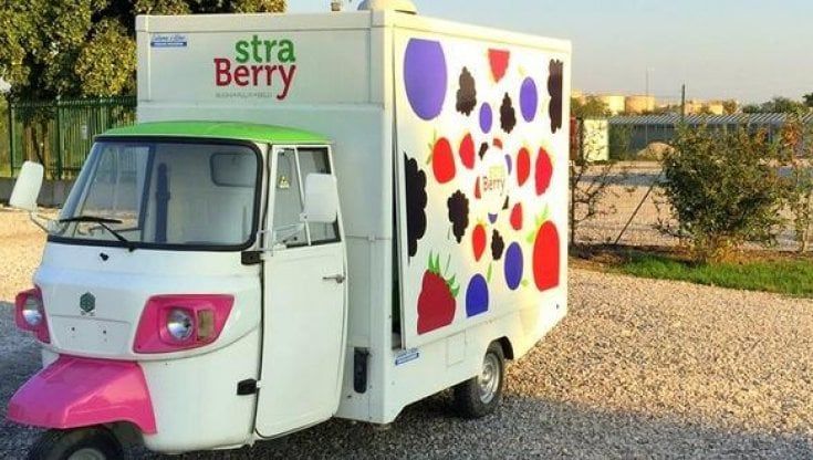 Revocato il sequestro dell'azienda StraBerry: nei campi di fragole dei braccianti sfruttati il terrore è diventato cooperazione