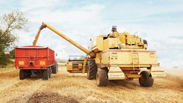 Produzione di cereali, ora si prevede un calo