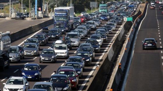 Gli alberi lungo l’A14 restano solo sulla carta: "Promesse disattese"