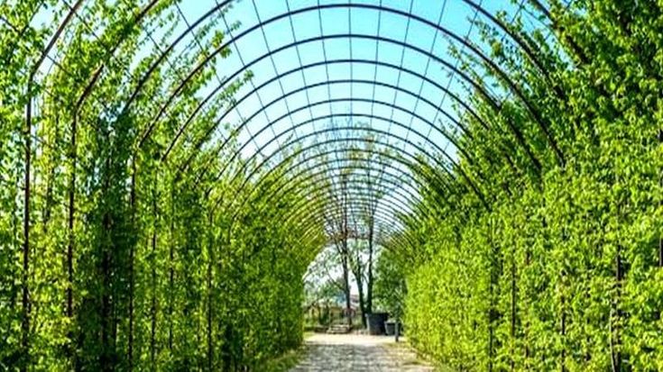 Prati, giochi, orti e fotovoltaico nel nuovo Parco delle Piagge