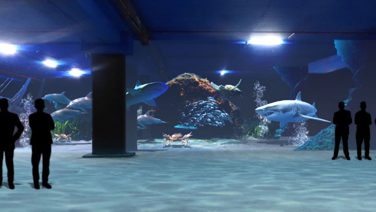 Roma, l’acquario c’è, i pesci no: apertura virtuale all’Eur 