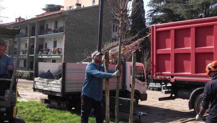 Firenze, piantati altri 1600 alberi. Nardella: "Saremo tra le prime città green d'Europa"