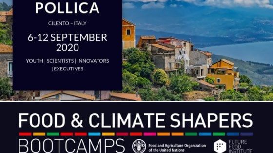 Tra Pollica e Velia una settimana di incontri internazionali sulla Dieta Mediterranea
