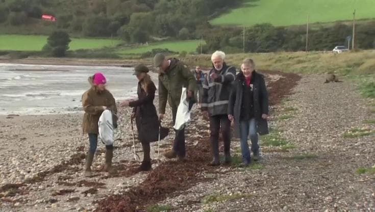Scozia, William e Kate visitano l'isola di Bute: pub, "shinty" e poi tutti a pulire la spiaggia