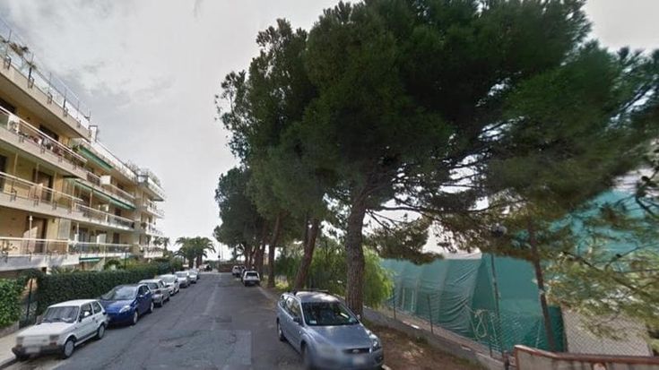 Sanremo, caccia agli avvelenatori di pini in centro città