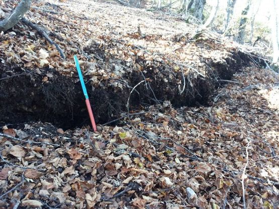 Terremoto, suolo abbassato di 70 cm. Geologo su Fb: ''Fagliazione si estende per chilometri'' 