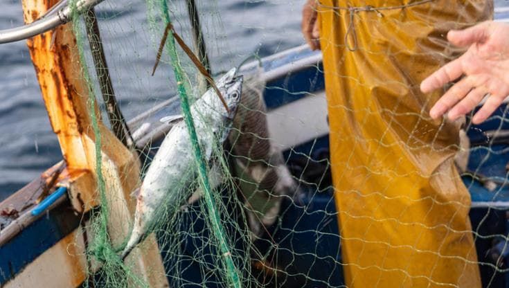 Stop al polistirolo, la Campania spinge per una pesca più “green”