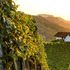 Slovenia: i colori dell’autunno