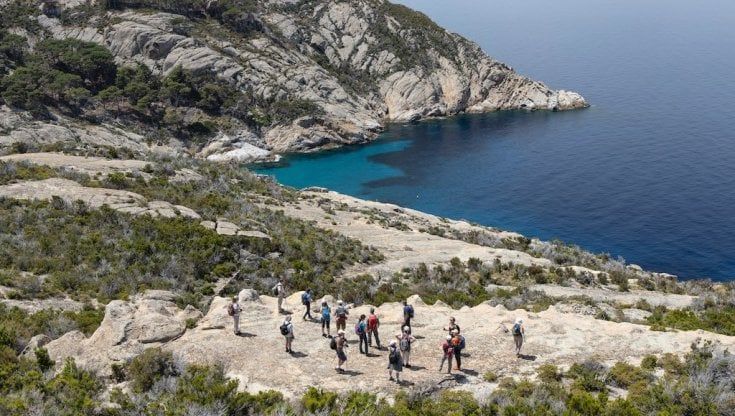 Isola di Montecristo: visite guidate, come e quando prenotarsi