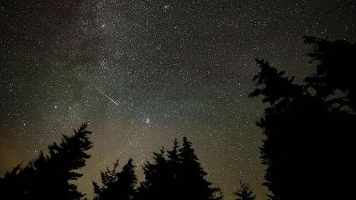 Notte di San Lorenzo, fino a cento stelle cadenti ogni ora. Ecco come osservarle e fotografarle