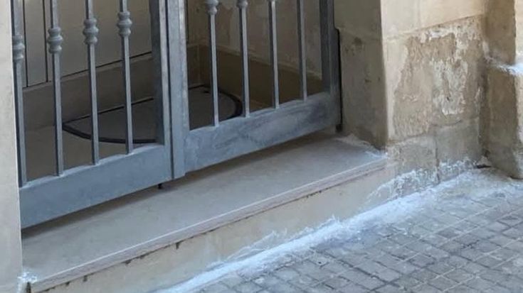 Lecce invasa dalle blatte e vie cosparse di veleni. L’allarme: "Polveri pericolose per cani e bimbi”