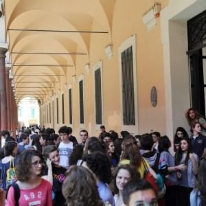 Paola Giacconi: "Stavolta è a rischio l'anima pubblica dell'insegnamento"