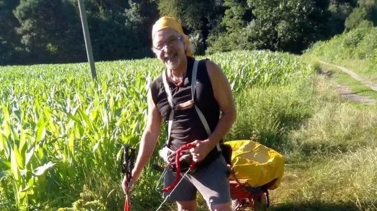 Il calabrone e il naturalista travolti da un insolito destino