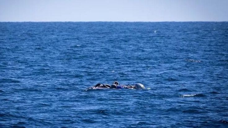 Migranti, nuovo naufragio al largo della Libia: 53 dispersi, tra loro anche due bambini
