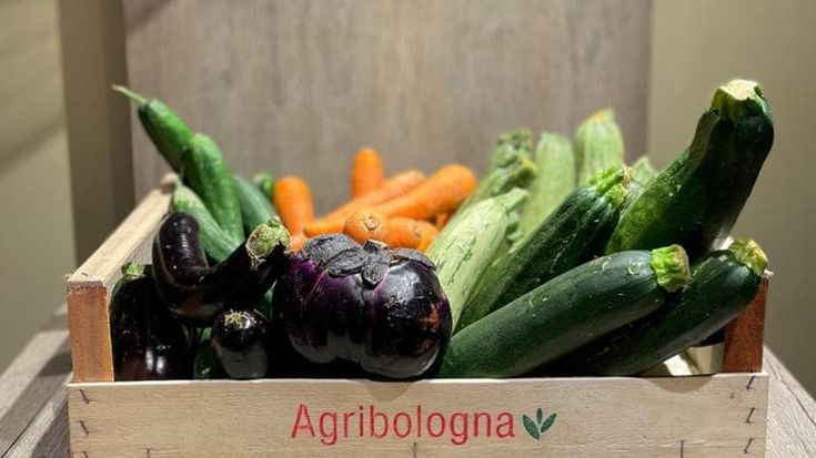 Zucchine storte, carote bitorzolute: ortaggi brutti, ma buoni: “Così ne salveremo 16 tonnellate”