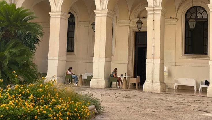 Caldo, a Bari spazi per studiare (o fare una pausa) all’ombra e immersi nel verde all’Ateneo