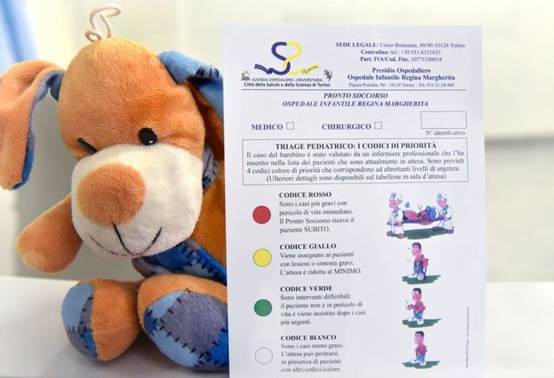 Torino, colori allegri e amici animali nel nuovo pronto soccorso dell'ospedale Regina Margherita