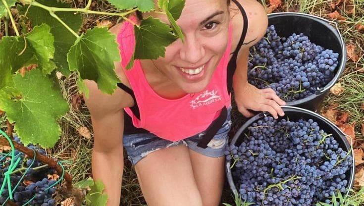 Le remote isole toscane che custodiscono l’ecosistema di vino e cibo